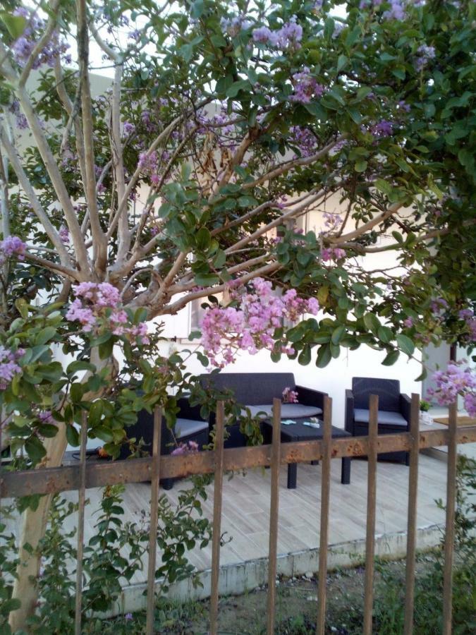 The Judas Trees Местре Екстериор снимка