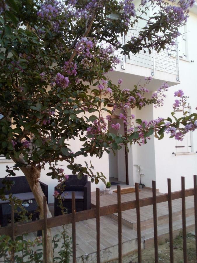The Judas Trees Местре Екстериор снимка