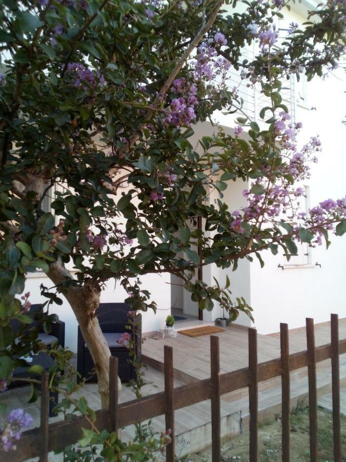 The Judas Trees Местре Екстериор снимка